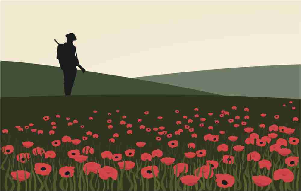 Lone soldier silhouette in field of poppies