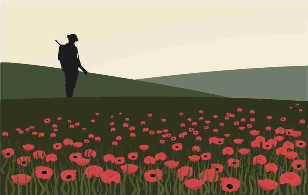 The lone soldier in a field of poppies
