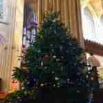 Christmas tree inside the Abbey