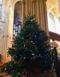 Christmas tree inside the Abbey