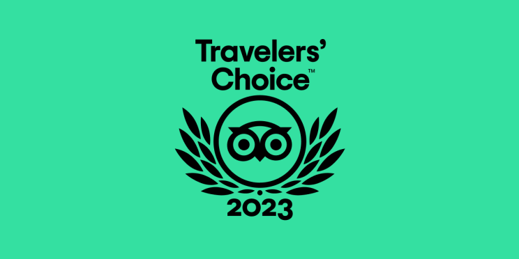 Traveller's Choice owl and wreath logo on a green background