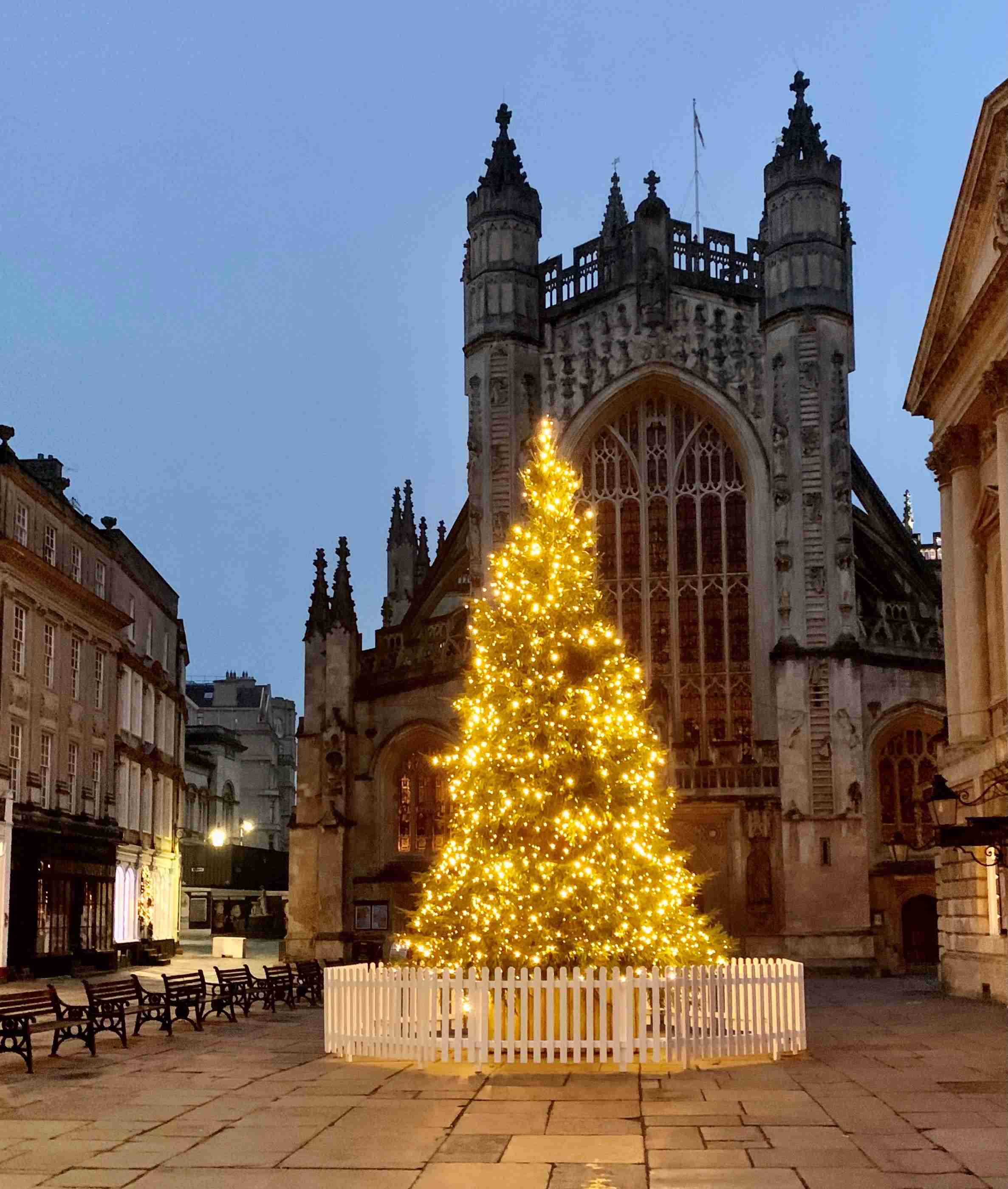 Christmas tree with golden lights in from of Bath Abbey
