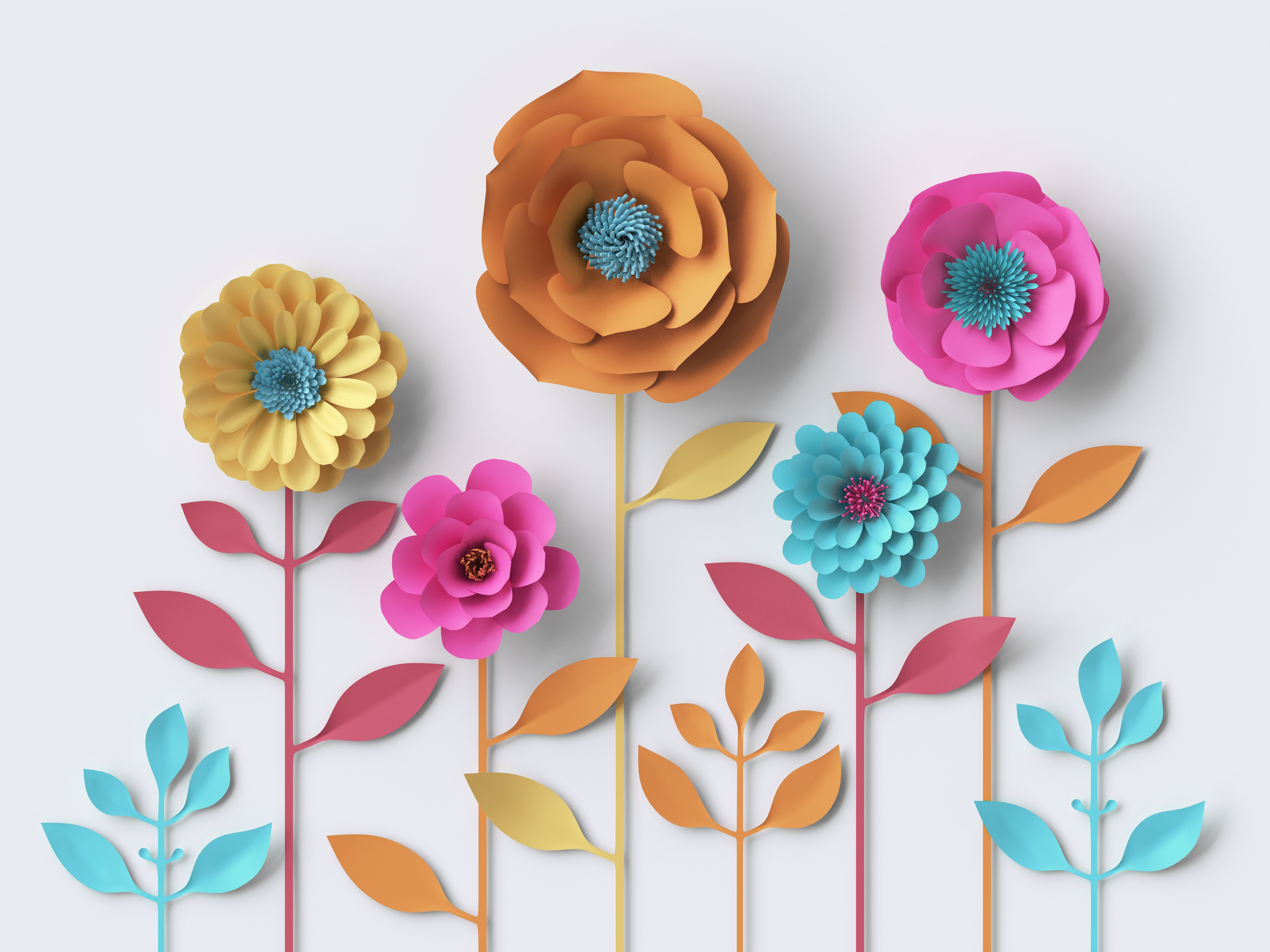 Colourful paper flowers